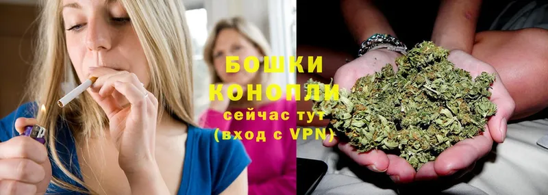 цена   сайты даркнета наркотические препараты  МЕГА как войти  Марихуана OG Kush  Кольчугино 